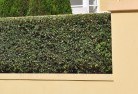Coneachard-landscaping-surfaces-8.jpg; ?>